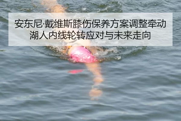 an-dong-ni-dai-wei-si-xi-shang-bao-yang-fang-an-tiao-zheng-qian-dong-hu-ren-nei-xian-lun-zhuan-ying-dui-yu-wei-lai-zou-2-256.jpg