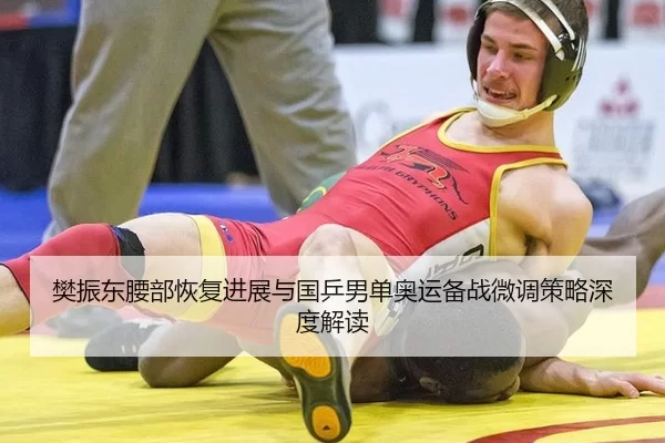 樊振东腰部恢复进展与国乒男单奥运备战微调策略深度解读
