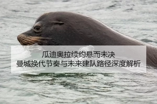 瓜迪奥拉续约悬而未决 曼城换代节奏与未来建队路径深度解析