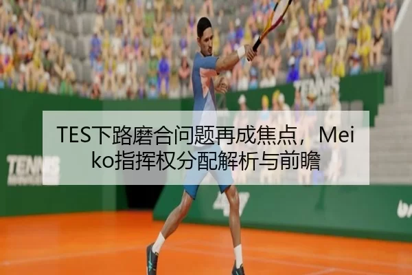 TES下路磨合问题再成焦点，Meiko指挥权分配解析与前瞻