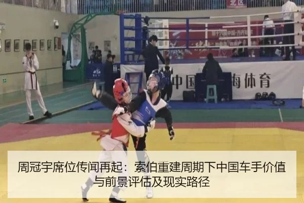 zhou-guan-yu-xi-wei-chuan-wen-zai-qi-suo-bo-chong-jian-zhou-qi-xia-zhong-guo-che-shou-jia-zhi-yu-qian-jing-ping-gu-ji-2-997.jpg